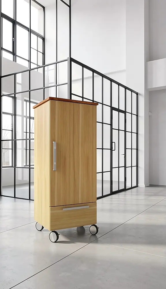 Kuehlschrank auf Rollen in Eiche